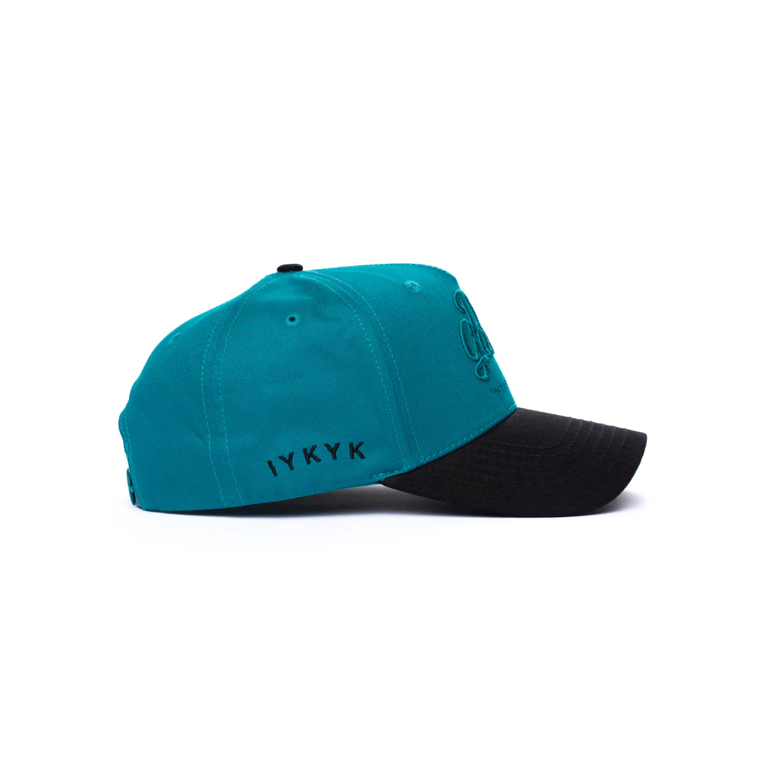 Teal on Teal Dad Gang Logo Hat - Image 3