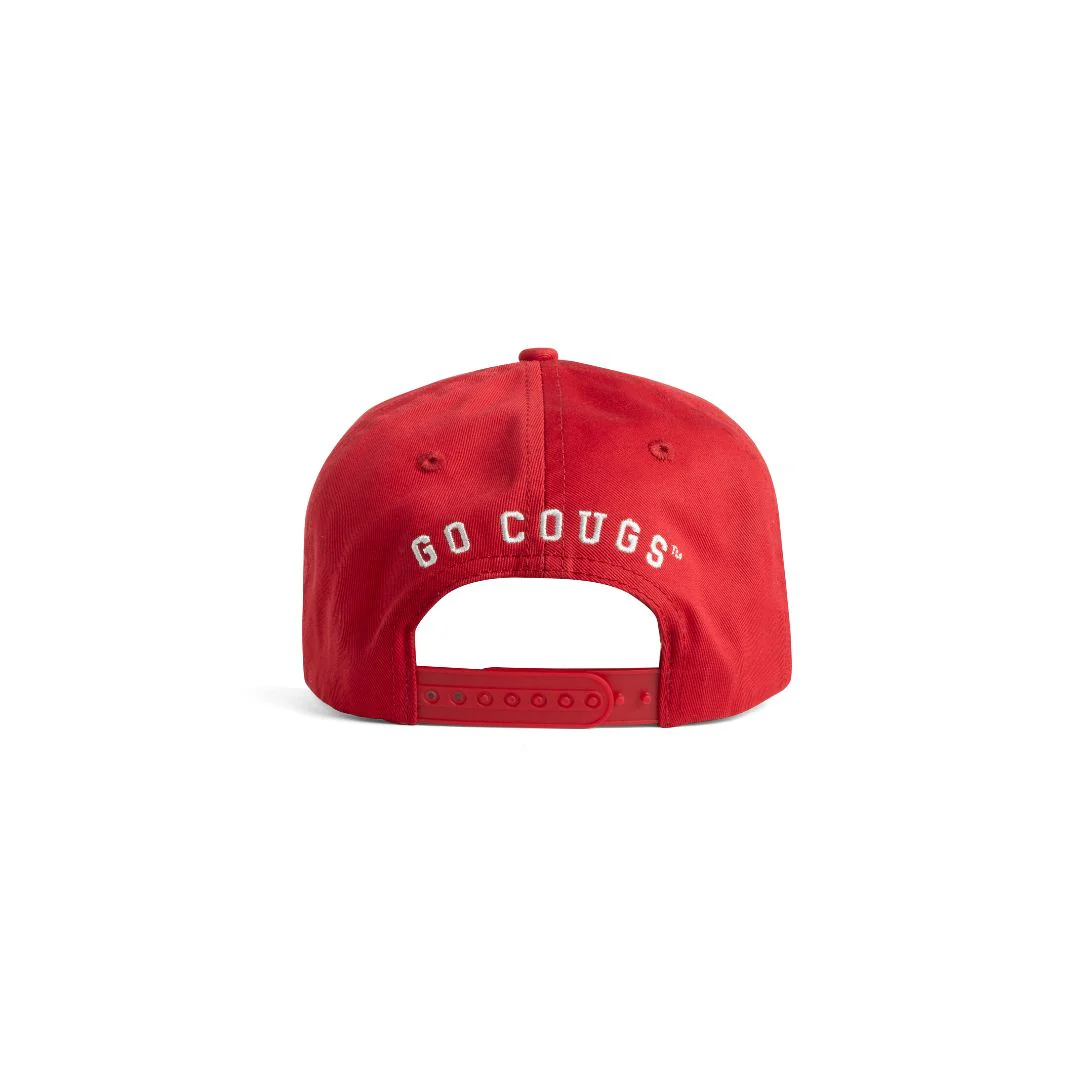 DG x WSU Crimson - Image 5