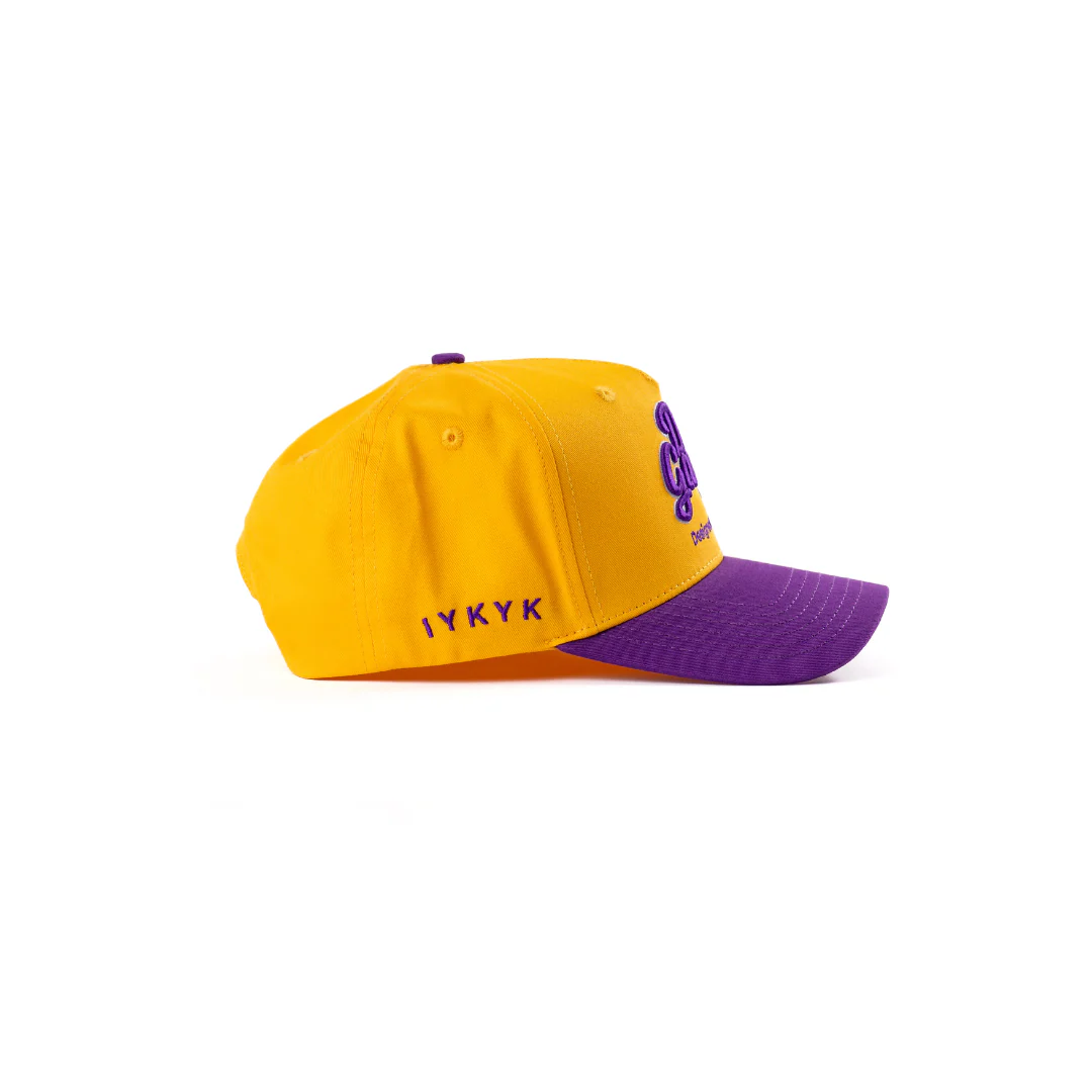 Purple & Gold Logo Hat - Image 3